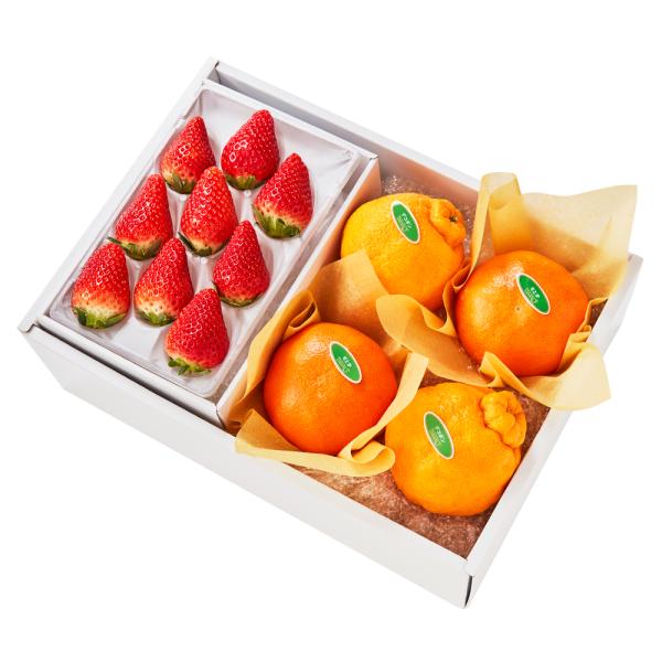 ●同梱不可商品●商品の性質上、お届けまでにお時間のかかる地域（北海道利尻郡・礼文郡、伊豆諸島青ヶ島村、小笠原諸島、島根県隠岐郡知夫村、長崎県対馬市、鹿児島県奄美市・大島郡・鹿児島郡・熊毛郡・西之表市、沖縄県石垣市・島尻郡北大東村・島尻郡久米...