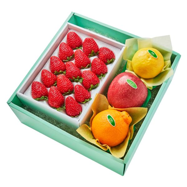 ●同梱不可商品●商品の性質上、お届けまでにお時間のかかる地域（北海道利尻郡・礼文郡、伊豆諸島青ヶ島村、小笠原諸島、島根県隠岐郡知夫村、長崎県対馬市、鹿児島県奄美市・大島郡・鹿児島郡・熊毛郡・西之表市、沖縄県石垣市・島尻郡北大東村・島尻郡久米...