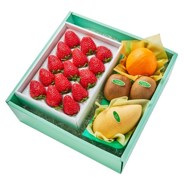 ●同梱不可商品●商品の性質上、お届けまでにお時間のかかる地域（北海道利尻郡・礼文郡、伊豆諸島青ヶ島村、小笠原諸島、島根県隠岐郡知夫村、長崎県対馬市、鹿児島県奄美市・大島郡・鹿児島郡・熊毛郡・西之表市、沖縄県石垣市・島尻郡北大東村・島尻郡久米...