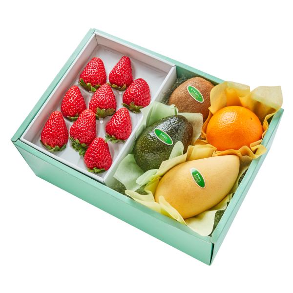 ●同梱不可商品●商品の性質上、お届けまでにお時間のかかる地域（北海道利尻郡・礼文郡、伊豆諸島青ヶ島村、小笠原諸島、島根県隠岐郡知夫村、長崎県対馬市、鹿児島県奄美市・大島郡・鹿児島郡・熊毛郡・西之表市、沖縄県石垣市・島尻郡北大東村・島尻郡久米...