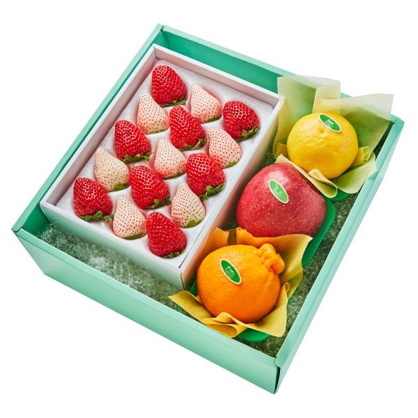 ●同梱不可商品●商品の性質上、お届けまでにお時間のかかる地域（北海道利尻郡・礼文郡、伊豆諸島青ヶ島村、小笠原諸島、島根県隠岐郡知夫村、長崎県対馬市、鹿児島県奄美市・大島郡・鹿児島郡・熊毛郡・西之表市、沖縄県石垣市・島尻郡北大東村・島尻郡久米...