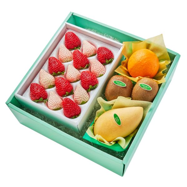 ●同梱不可商品●商品の性質上、お届けまでにお時間のかかる地域（北海道利尻郡・礼文郡、伊豆諸島青ヶ島村、小笠原諸島、島根県隠岐郡知夫村、長崎県対馬市、鹿児島県奄美市・大島郡・鹿児島郡・熊毛郡・西之表市、沖縄県石垣市・島尻郡北大東村・島尻郡久米...