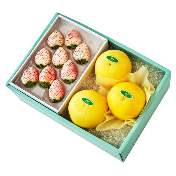 ●同梱不可商品●商品の性質上、お届けまでにお時間のかかる地域（北海道利尻郡、北海道礼文島、伊豆諸島青ヶ島村、小笠原諸島、長崎県対馬市、鹿児島県奄美市、鹿児島県大島郡、沖縄県宮古郡、沖縄県八重山郡）へのお届けはお受けできません。※東京より発送...