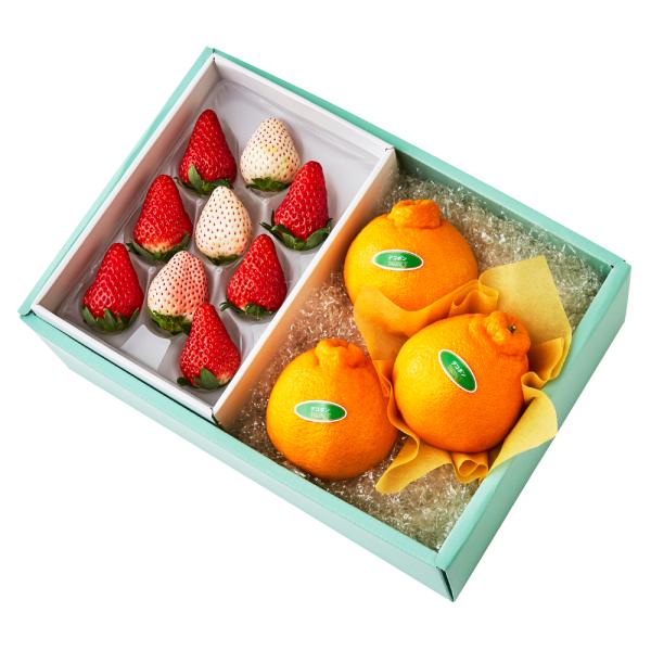 ●同梱不可商品●商品の性質上、お届けまでにお時間のかかる地域（北海道利尻郡、北海道礼文島、伊豆諸島青ヶ島村、小笠原諸島、長崎県対馬市、鹿児島県奄美市、鹿児島県大島郡、沖縄県宮古郡、沖縄県八重山郡）へのお届けはお受けできません。※東京より発送...