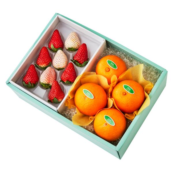 ●同梱不可商品●商品の性質上、お届けまでにお時間のかかる地域（北海道利尻郡・礼文郡、伊豆諸島青ヶ島村、小笠原諸島、島根県隠岐郡知夫村、長崎県対馬市、鹿児島県奄美市・大島郡・鹿児島郡・熊毛郡・西之表市、沖縄県石垣市・島尻郡北大東村・島尻郡久米...