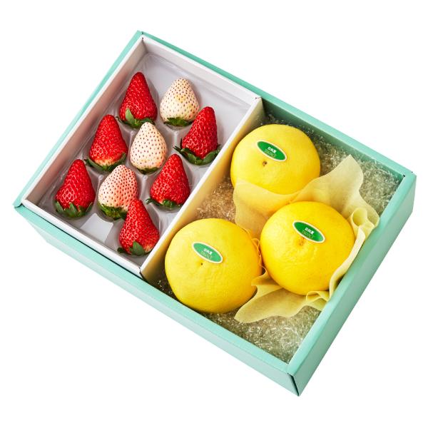 ●同梱不可商品●商品の性質上、お届けまでにお時間のかかる地域（北海道利尻郡、北海道礼文島、伊豆諸島青ヶ島村、小笠原諸島、長崎県対馬市、鹿児島県奄美市、鹿児島県大島郡、沖縄県宮古郡、沖縄県八重山郡）へのお届けはお受けできません。※東京より発送...