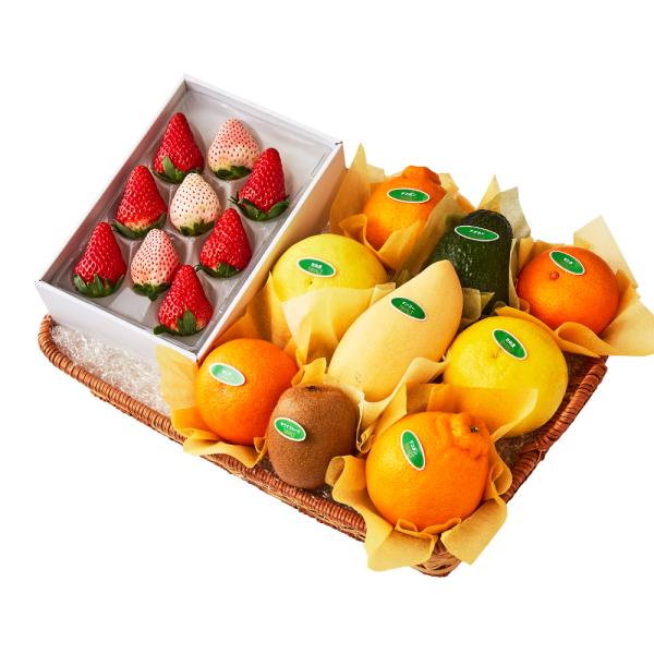 ●同梱不可商品●商品の性質上、お届けまでにお時間のかかる地域（北海道利尻郡・礼文郡、伊豆諸島青ヶ島村、小笠原諸島、島根県隠岐郡知夫村、長崎県対馬市、鹿児島県奄美市・大島郡・鹿児島郡・熊毛郡・西之表市、沖縄県石垣市・島尻郡北大東村・島尻郡久米...