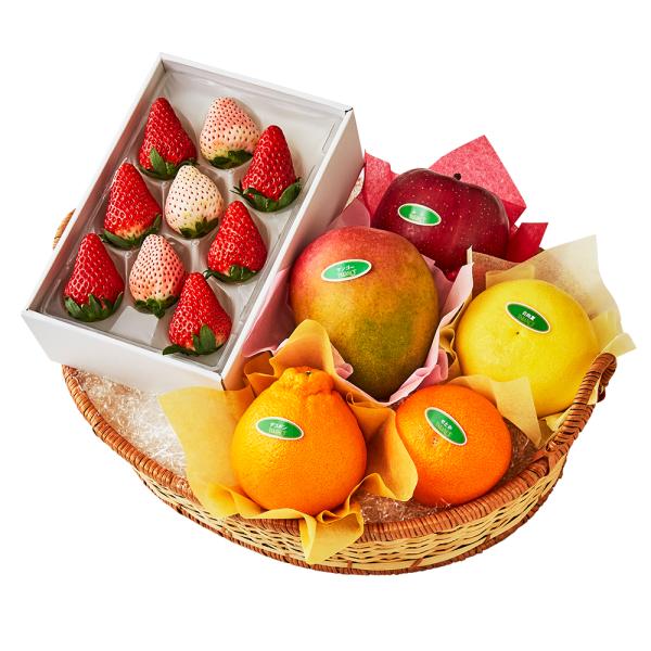 ●同梱不可商品●商品の性質上、お届けまでにお時間のかかる地域（北海道利尻郡・礼文郡、伊豆諸島青ヶ島村、小笠原諸島、島根県隠岐郡知夫村、長崎県対馬市、鹿児島県奄美市・大島郡・鹿児島郡・熊毛郡・西之表市、沖縄県石垣市・島尻郡北大東村・島尻郡久米...