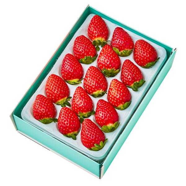 ●同梱不可商品●商品の性質上、お届けまでにお時間のかかる地域（北海道利尻郡・礼文郡、伊豆諸島青ヶ島村、小笠原諸島、島根県隠岐郡知夫村、長崎県対馬市、鹿児島県奄美市・大島郡・鹿児島郡・熊毛郡・西之表市、沖縄県石垣市・島尻郡北大東村・島尻郡久米...