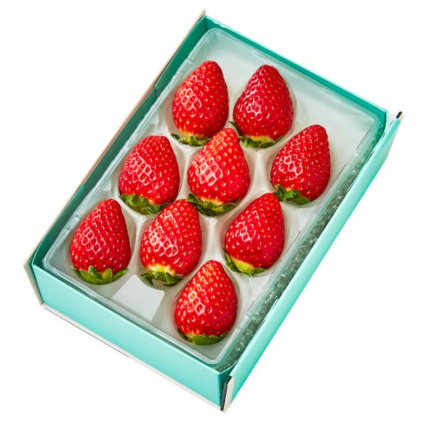 ●同梱不可商品●商品の性質上、お届けまでにお時間のかかる地域（北海道利尻郡・礼文郡、伊豆諸島青ヶ島村、小笠原諸島、島根県隠岐郡知夫村、長崎県対馬市、鹿児島県奄美市・大島郡・鹿児島郡・熊毛郡・西之表市、沖縄県石垣市・島尻郡北大東村・島尻郡久米...