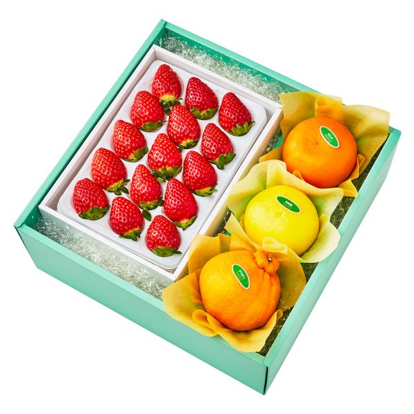 ●同梱不可商品●商品の性質上、お届けまでにお時間のかかる地域（北海道利尻郡・礼文郡、伊豆諸島青ヶ島村、小笠原諸島、島根県隠岐郡知夫村、長崎県対馬市、鹿児島県奄美市・大島郡・鹿児島郡・熊毛郡・西之表市、沖縄県石垣市・島尻郡北大東村・島尻郡久米...