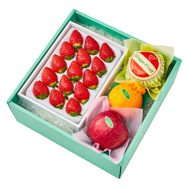 ●同梱不可商品●商品の性質上、お届けまでにお時間のかかる地域（北海道利尻郡・礼文郡、伊豆諸島青ヶ島村、小笠原諸島、島根県隠岐郡知夫村、長崎県対馬市、鹿児島県奄美市・大島郡・鹿児島郡・熊毛郡・西之表市、沖縄県石垣市・島尻郡北大東村・島尻郡久米...