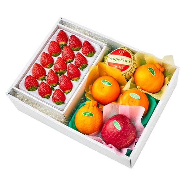 ●同梱不可商品●商品の性質上、お届けまでにお時間のかかる地域（北海道利尻郡・礼文郡、伊豆諸島青ヶ島村、小笠原諸島、島根県隠岐郡知夫村、長崎県対馬市、鹿児島県奄美市・大島郡・鹿児島郡・熊毛郡・西之表市、沖縄県石垣市・島尻郡北大東村・島尻郡久米...