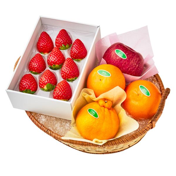 ●同梱不可商品●商品の性質上、お届けまでにお時間のかかる地域（北海道利尻郡・礼文郡、伊豆諸島青ヶ島村、小笠原諸島、島根県隠岐郡知夫村、長崎県対馬市、鹿児島県奄美市・大島郡・鹿児島郡・熊毛郡・西之表市、沖縄県石垣市・島尻郡北大東村・島尻郡久米...