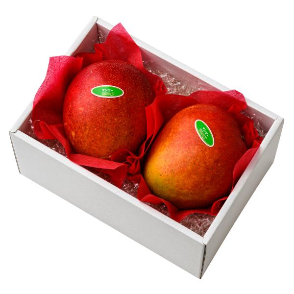 ●同梱不可商品●商品の性質上、お届けまでにお時間のかかる地域（北海道利尻郡・礼文郡、伊豆諸島青ヶ島村、小笠原諸島、島根県隠岐郡知夫村、長崎県対馬市、鹿児島県奄美市・大島郡・鹿児島郡・熊毛郡・西之表市、沖縄県石垣市・島尻郡北大東村・島尻郡久米...