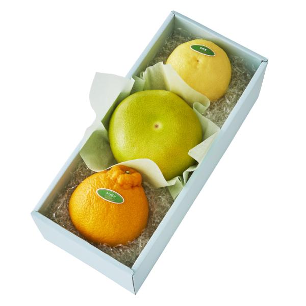 ●同梱不可商品●商品の性質上、お届けまでにお時間のかかる地域（北海道利尻郡・礼文郡、伊豆諸島青ヶ島村、小笠原諸島、島根県隠岐郡知夫村、長崎県対馬市、鹿児島県奄美市・大島郡・鹿児島郡・熊毛郡・西之表市、沖縄県石垣市・島尻郡北大東村・島尻郡久米...