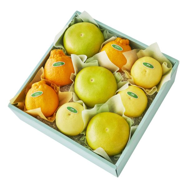 ●同梱不可商品●商品の性質上、お届けまでにお時間のかかる地域（北海道利尻郡・礼文郡、伊豆諸島青ヶ島村、小笠原諸島、島根県隠岐郡知夫村、長崎県対馬市、鹿児島県奄美市・大島郡・鹿児島郡・熊毛郡・西之表市、沖縄県石垣市・島尻郡北大東村・島尻郡久米...