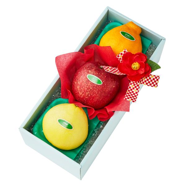 ●同梱不可商品●商品の性質上、お届けまでにお時間のかかる地域（北海道利尻郡・礼文郡、伊豆諸島青ヶ島村、小笠原諸島、島根県隠岐郡知夫村、長崎県対馬市、鹿児島県奄美市・大島郡・鹿児島郡・熊毛郡・西之表市、沖縄県石垣市・島尻郡北大東村・島尻郡久米...