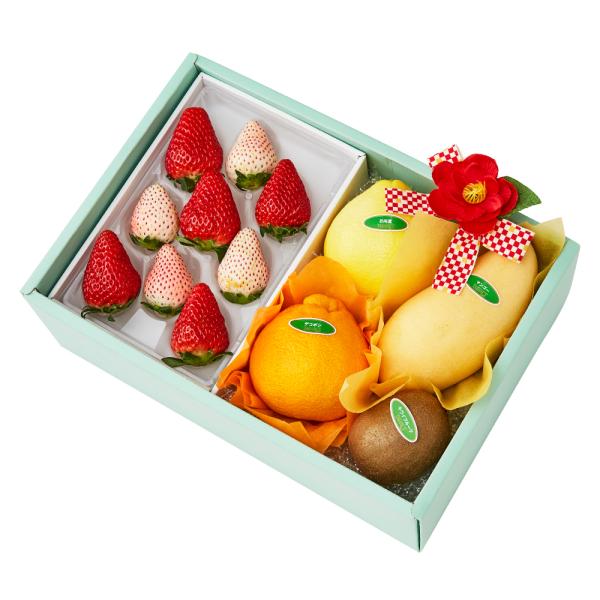 ●同梱不可商品●商品の性質上、お届けまでにお時間のかかる地域（北海道利尻郡・礼文郡、伊豆諸島青ヶ島村、小笠原諸島、島根県隠岐郡知夫村、長崎県対馬市、鹿児島県奄美市・大島郡・鹿児島郡・熊毛郡・西之表市、沖縄県石垣市・島尻郡北大東村・島尻郡久米...