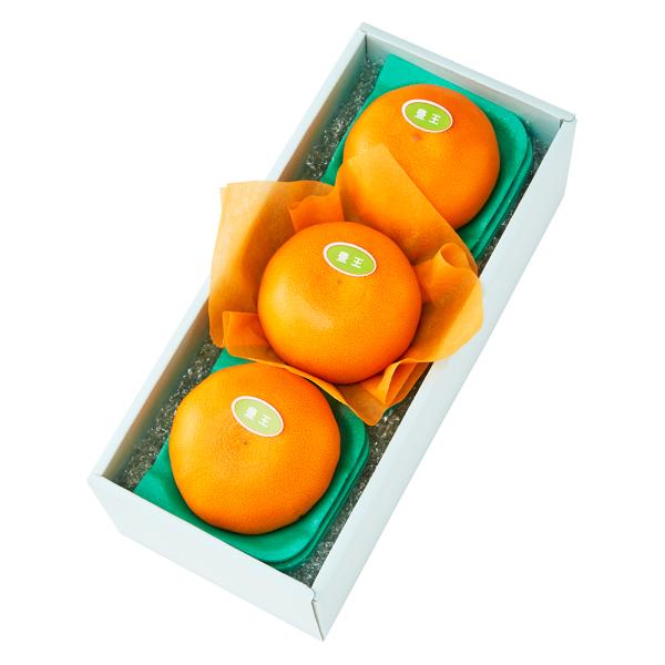 ●同梱不可商品●商品の性質上、お届けまでにお時間のかかる地域（北海道利尻郡・礼文郡、伊豆諸島青ヶ島村、小笠原諸島、島根県隠岐郡知夫村、長崎県対馬市、鹿児島県奄美市・大島郡・鹿児島郡・熊毛郡・西之表市、沖縄県石垣市・島尻郡北大東村・島尻郡久米...