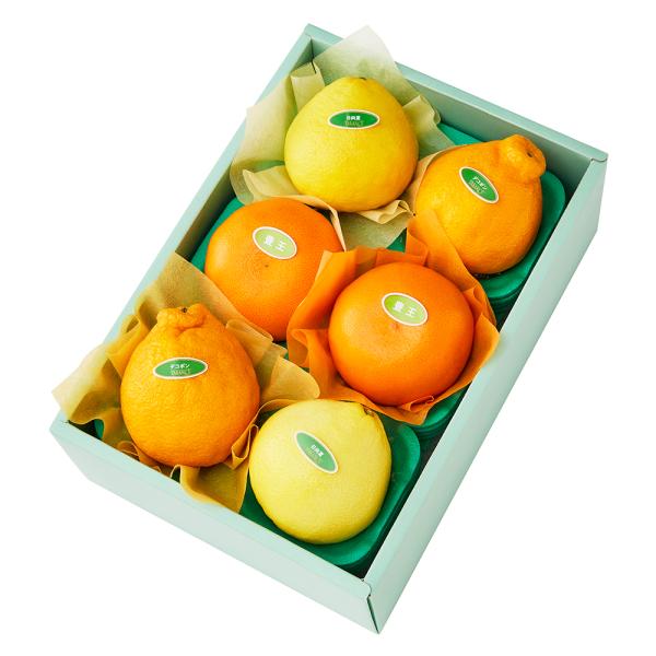 ●同梱不可商品●商品の性質上、お届けまでにお時間のかかる地域（北海道利尻郡・礼文郡、伊豆諸島青ヶ島村、小笠原諸島、島根県隠岐郡知夫村、長崎県対馬市、鹿児島県奄美市・大島郡・鹿児島郡・熊毛郡・西之表市、沖縄県石垣市・島尻郡北大東村・島尻郡久米...