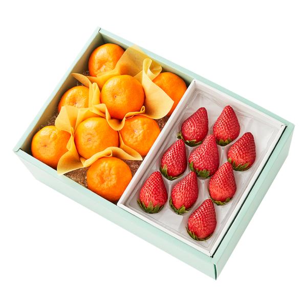 ●同梱不可商品●商品の性質上、お届けまでにお時間のかかる地域（北海道利尻郡・礼文郡、伊豆諸島青ヶ島村、小笠原諸島、島根県隠岐郡知夫村、長崎県対馬市、鹿児島県奄美市・大島郡・鹿児島郡・熊毛郡・西之表市、沖縄県石垣市・島尻郡北大東村・島尻郡久米...