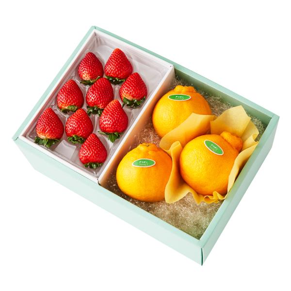 ●同梱不可商品●商品の性質上、お届けまでにお時間のかかる地域（北海道利尻郡・礼文郡、伊豆諸島青ヶ島村、小笠原諸島、島根県隠岐郡知夫村、長崎県対馬市、鹿児島県奄美市・大島郡・鹿児島郡・熊毛郡・西之表市、沖縄県石垣市・島尻郡北大東村・島尻郡久米...