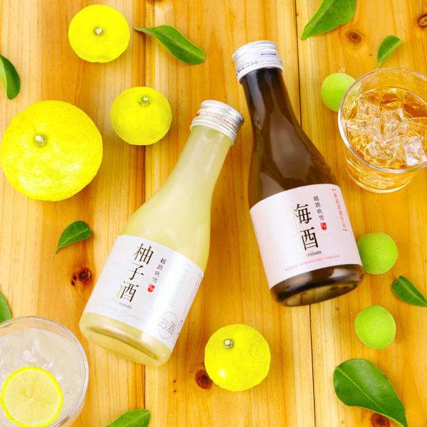 希少　天真白梅　梅酒　西山酒造　霧箱入り 希少 天真白梅 梅酒 西山酒造 霧箱入り 兵庫県：西山酒造場