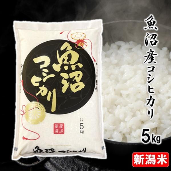 takano-shuzo-y_8173