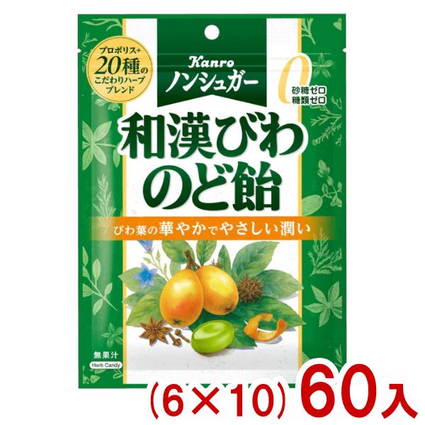 カンロ 80g ノンシュガー 和漢びわのど飴 (6×10)60入 (のどあめ 砂糖不使用 飴 キャンディ お菓子) (Y10) 本州一部送料無料