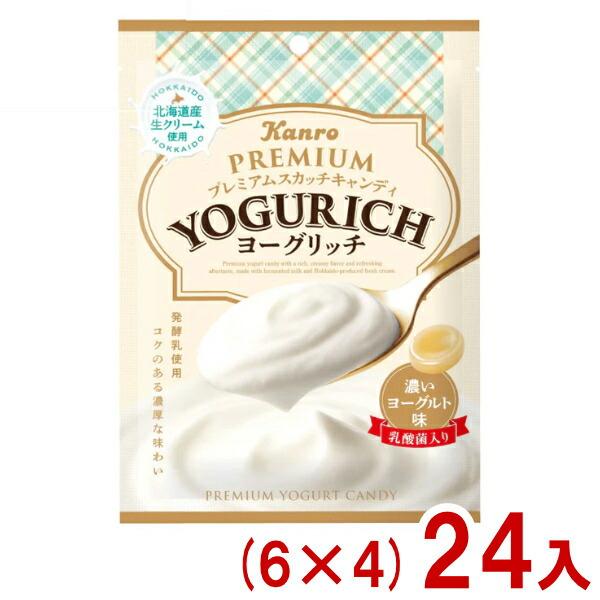 Kanro（カンロ） 66g ヨーグリッチキャンディ (6×4)24入 (ヨーグルト