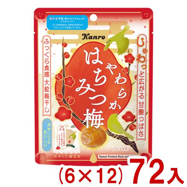 Kanro（カンロ） 40g やわらかはちみつ梅 (6×12)72入 (熱中症対策 塩分