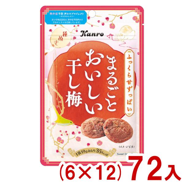 Kanro（カンロ） 19g まるごとおいしい 干し梅 (6×12)72入 (熱中症対策