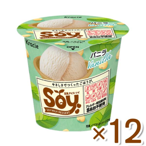 アイス商品 ① A005 一口アイスセット デラックス（62粒入） 苺アイス 生チョコアイス