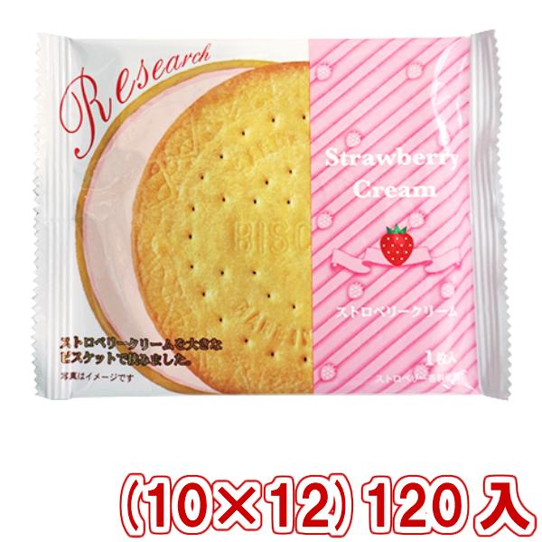 (ŒZܖ2026.1.27) Oc Xgx[Th rXPbg T[` (10×12)120 (P[X̔)(Y10) {Bꕔ