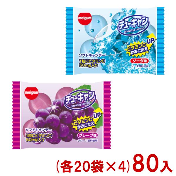 明治チューインガム チューキャン (20×4)80入 (駄菓子 チューイング