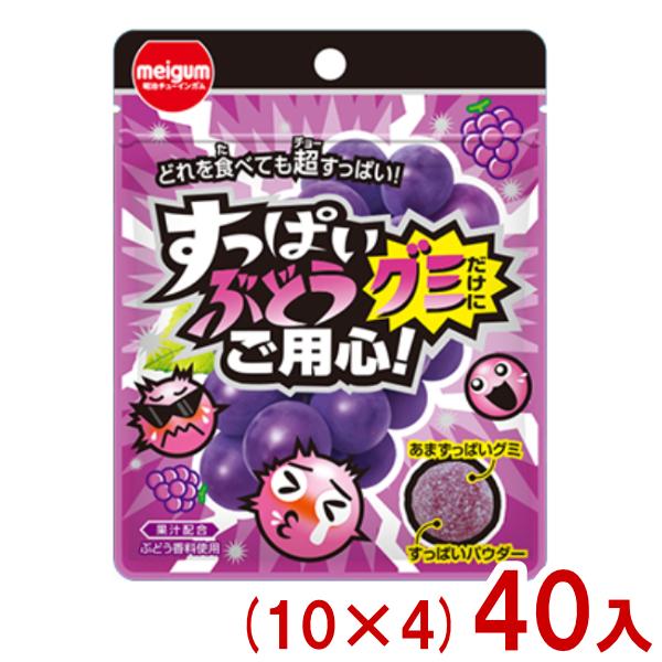 明治チューインガム 28g すっぱいぶどうグミだけにご用心 (10×4)40入