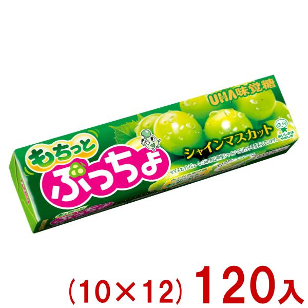 ぷっちょ 味覚糖 10粒 ぷっちょスティック もちっとシャインマスカット