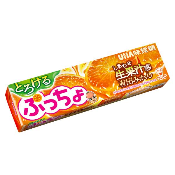 ぷっちょ 味覚糖 ぷっちょスティック とろける有田みかん 10粒×10入