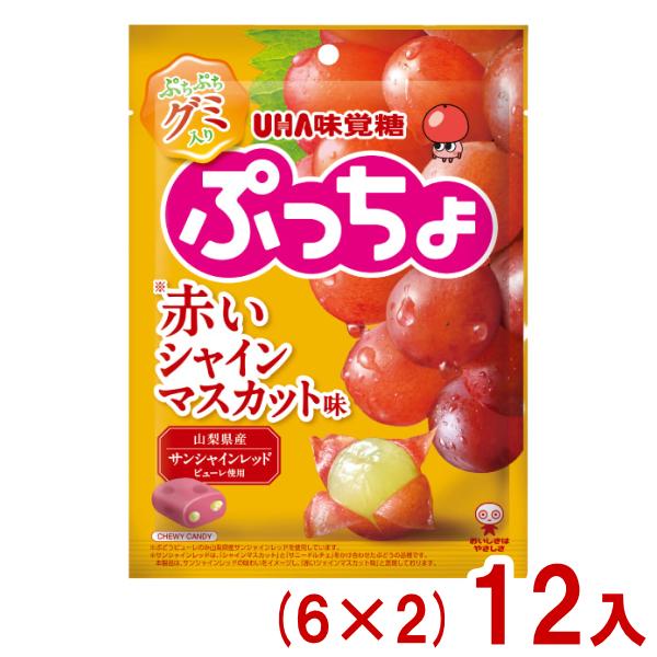 ぷっちょ様引き取り分 ぷっちょ 味覚糖 72g 袋 赤いシャインマスカット味 (6×2)12入 (期間