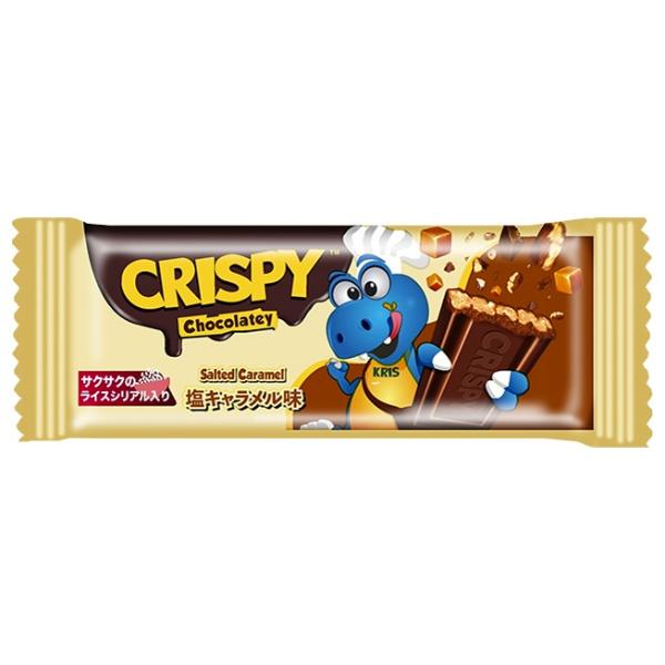 チョコ10、へりキャメル10m、グリス500g チョコ10、へりキャメル10m、グリス500g 【公式通販】