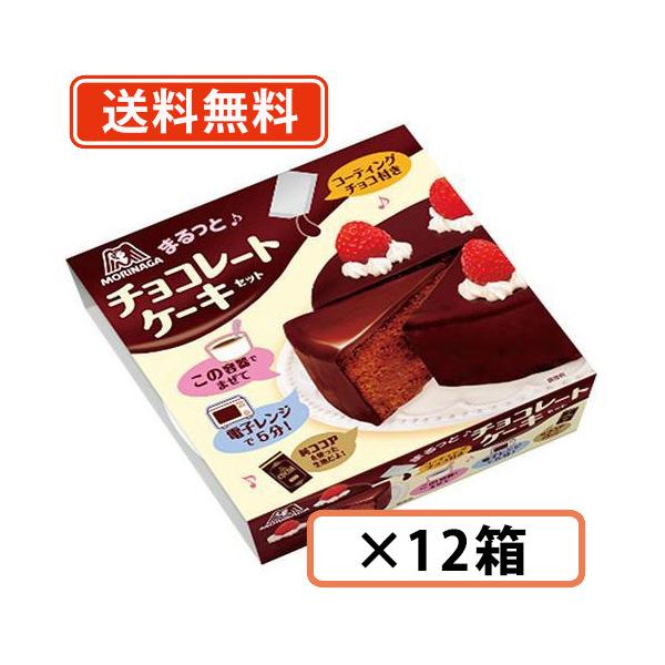 森永 チョコレートケーキセット 205g×6個×2ケース 送料無料(一部地域
