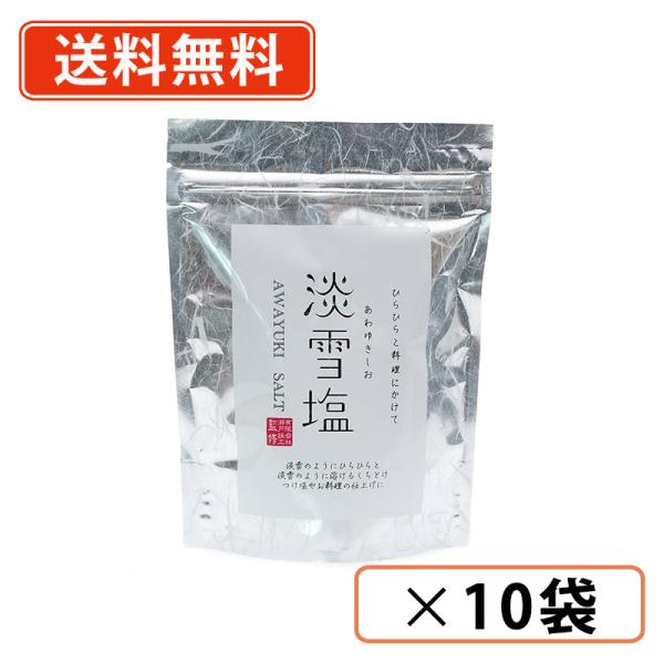 淡雪塩 20g×10袋　あわゆきしお　日東食品工業　ニットーリレー　【送料無料(一部地域を除く)】