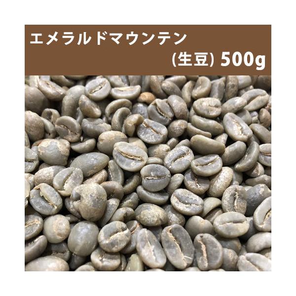 コーヒー 生豆 エメラルドマウンテン 500ｇ【同梱不可】【送料無料/メール便】