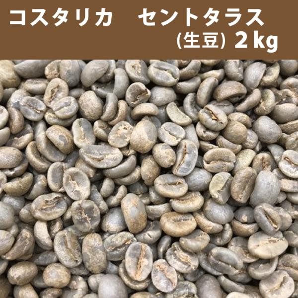 コーヒー 生豆 コスタリカ セントタラス 2ｋｇ　　送料無料(一部地域を除く)