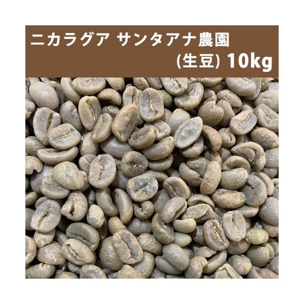 コーヒー 生豆 ニカラグア サンタアナ農園 10ｋｇ(5ｋｇ×2)　送料無料(一部地域を除く)