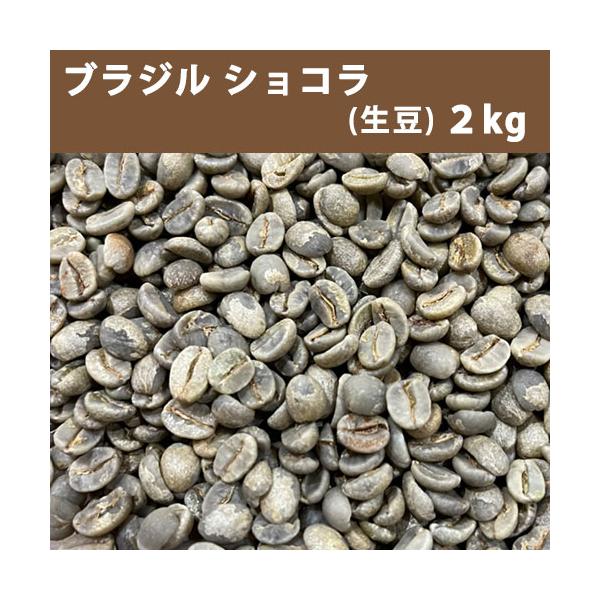 コーヒー 生豆 ブラジル ショコラ 2ｋg　送料無料(一部地域を除く)