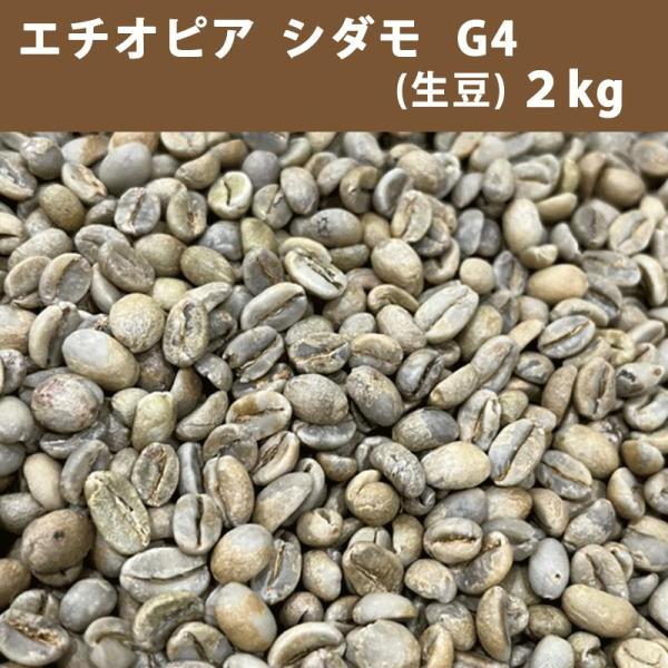 コーヒー 生豆 エチオピア モカ シダモ G4 2kg 送料無料(一部地域を