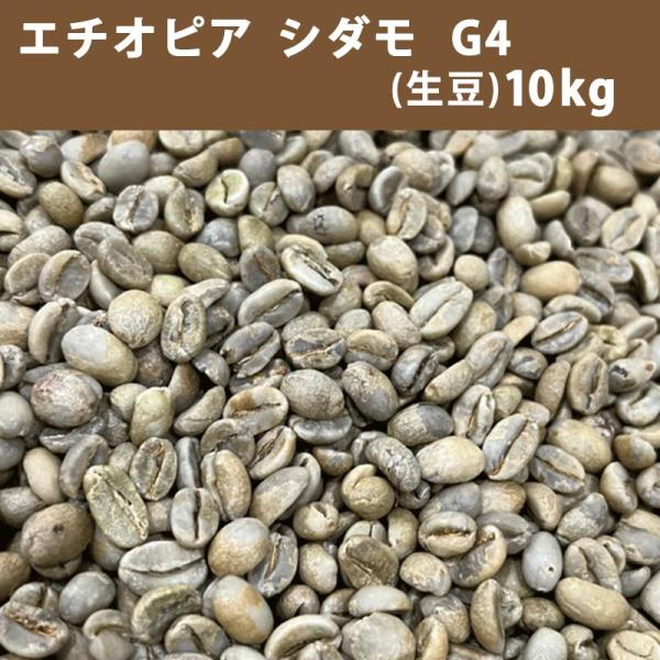 【コーヒー生豆】モカ シダモ エチオピア　10kg　 ※送料無料！ コーヒー 生豆 エチオピア モカ シダモ G4 10kg(5kg×2) 送料