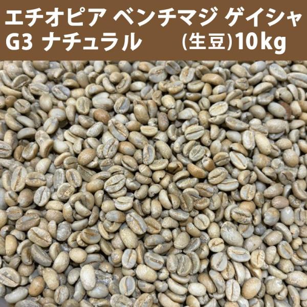 コーヒー 生豆 エチオピア ベンチマジ　ゲイシャ G3 ナチュラル　10ｋｇ(5ｋｇ×2)  　送料無料(一部地域を除く)